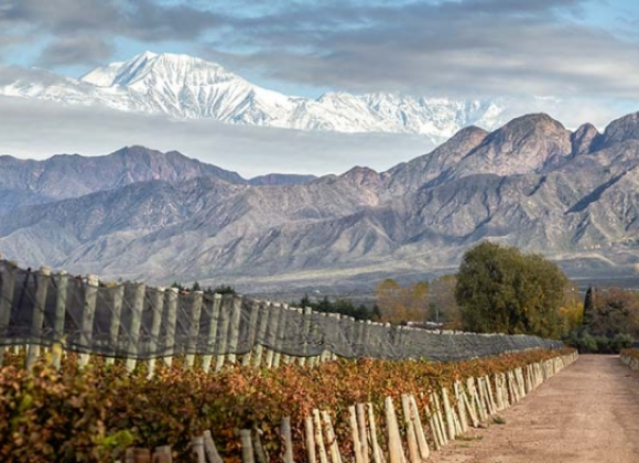 Bodegas en Mendoza Mendoza